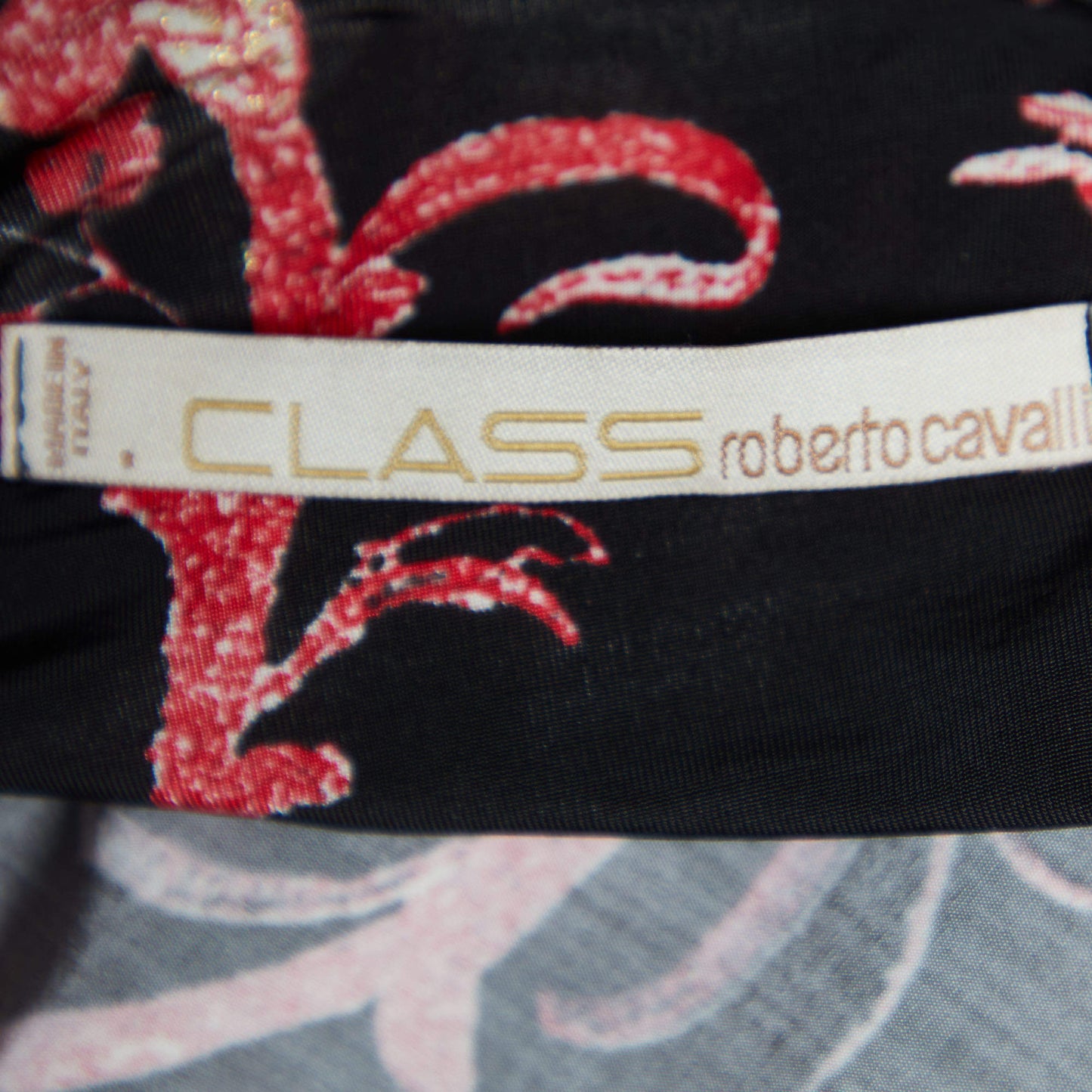 Class by Roberto Cavalli Baroque Dress